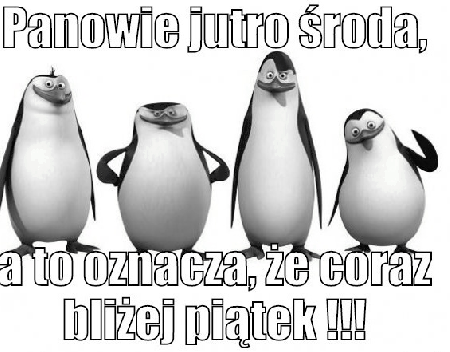 Pingwiny ogłaszają, że jutro środa